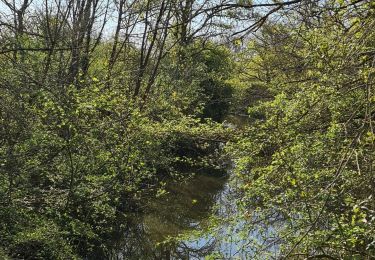 Percorso Marcia Rosnay - Parc naturel régional de la Brenne à ROSNAY - Photo