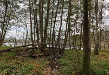 Randonnée A pied Angermünde - Wolletzseerundweg - Photo