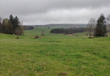 Percorso Marcia Chapelle-des-Bois - Chapelle-des-Bois en passant par la roche Bernard  - Photo