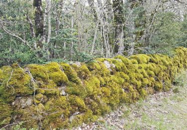 Trail Walking Le Caylar - Le Caylar - Le Cros - La Couvertoirade - Photo