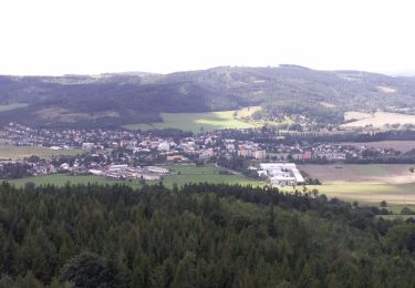 Percorso A piedi Město Albrechtice - Graniczny wierch - Photo