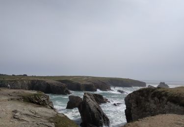 Tocht Stappen Quiberon - Quiberon jardin ancien sémaphore cote sauvage - Photo