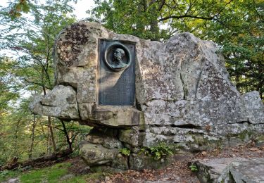 Trail Walking Fontainebleau - Sentier Denecourt 2 - Photo