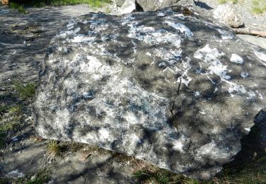 Tour Zu Fuß Ceranesi - Colla di Praglia - Passo della Bocchetta - Photo