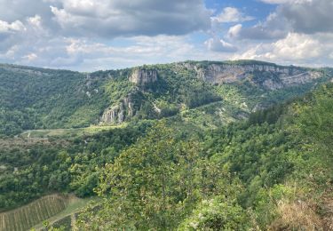 Trail Walking Cerdon - Cedron  - Photo