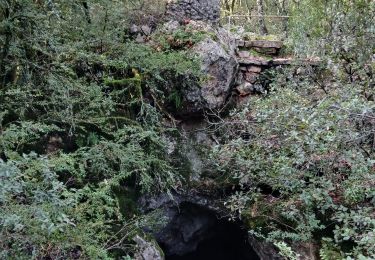 Trail Walking Vins-sur-Caramy - Vins sur Caramy-13-11-2024  - Photo