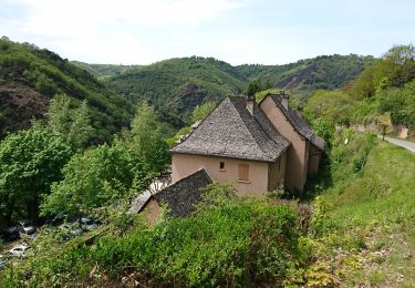 Tour Wandern Sénergues - Compostelle jour 11 - Photo