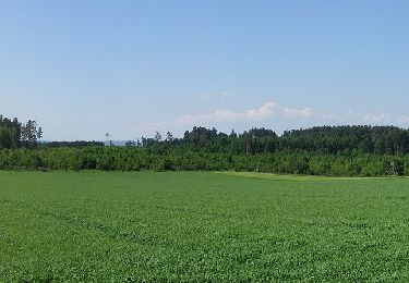 Tocht Te voet Empfingen - Äußerer Querweg - Horb am Neckar - Weg-4 - Weiherhof - Dettensee - Photo