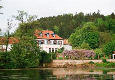 Excursión A pie Blieskastel - Niederwürzbacher-Weiher-Tour - Photo