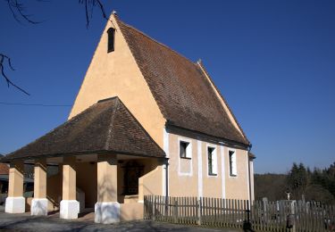 Tocht Te voet Bad Waltersdorf - Regenerations-Fettverbrennungs-Runde - Photo