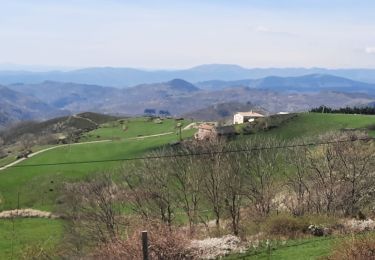 Tour Wandern Saint-Joseph-des-Bancs - St Joseph les Bancs 18km - Photo