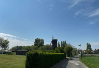 Tour Wandern Anderlecht - Campagne Anderlechtoise  - Photo