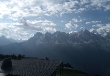 Randonnée Marche Chamonix-Mont-Blanc -  Montagne de Plampraz - Photo