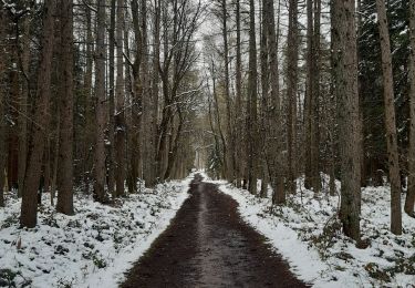 Tocht Stappen Luik - autour du golf - Photo