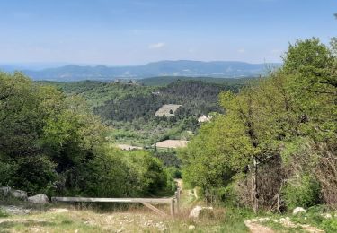 Trail Walking Montjoyer - Montjoyer les éoliennes 7,5km - Photo