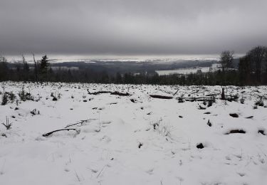 Trail Walking Sainte-Ode - Lavacherie 291220 - Photo