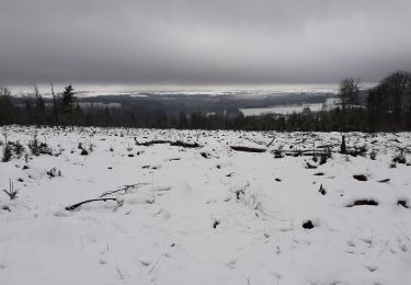 Tour Wandern Sainte-Ode - Lavacherie 291220 - Photo