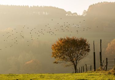 Tour Zu Fuß Lüdenscheid - (H) Rundweg Halver - Photo