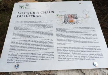 Trail Walking Ollioules - Gorges du Destel-28-09-22 - Photo