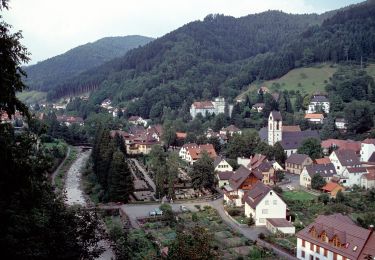 Randonnée A pied Wolfach - Wolfach - Salzlecke - Photo