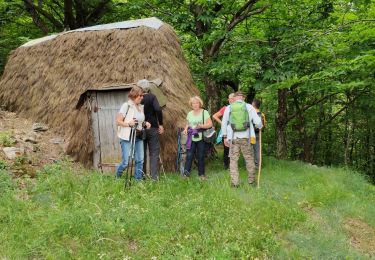 Tour Wandern Burzet - balade burzet  - Photo