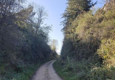 Tour Wandern Périgneux - Marieux  - Photo