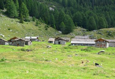 Tour Zu Fuß Chiesa in Valmalenco - Sentiero accesso RIFUGIO ANTONIO ED ELIA LONGONI - Photo