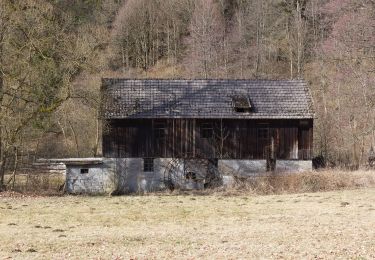 Trail On foot Steinwiesen - Zweiwasser-Weg RT 24 - Photo