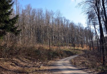 Tour Zu Fuß Gemeinde Gablitz - Gablitz - Hochramalpe - Troppberg - Photo