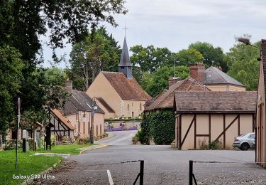 Randonnée Marche nordique Conflans-sur-Loing - Conflans sur loing - Photo