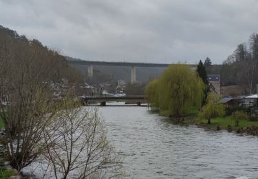 Randonnée Marche Aywaille - A la découverte de Sougné-Remouchamps - Photo