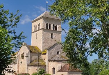 Tour Wandern Bissy-sous-Uxelles - bissysous uxelles - Photo