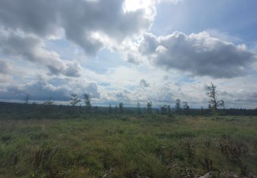 Tour Wandern Gedinne - rando croix scaille 8-08-2023 - Photo