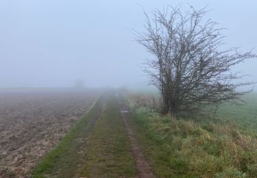 Tour Wandern Soignies - Thieusie 19,7 km - Photo