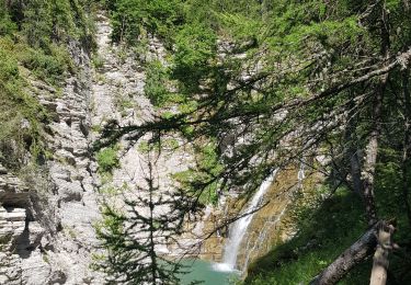 Trail Walking Colmars - lignin - Photo