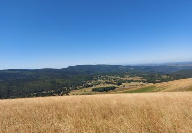 Randonnée Marche Dourbies - saint sauveur de camprieu - Photo