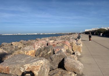 Trail Walking Le Grau-du-Roi - Le Grau du Roi Port Camargue  - Photo
