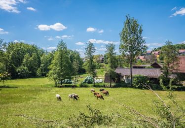 Randonnée A pied Ebrach - Rundweg 