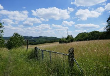 Tour Zu Fuß Unbekannt - Natur- und Kulturerlebnisweg Blömkeberg / Galgenheide - Photo