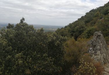 Randonnée Marche Laroque-des-Albères - Dolmen - Photo