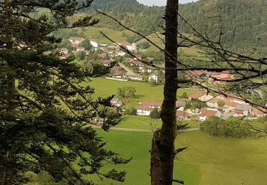 Trail Walking Charix - Genin-Charix - Photo