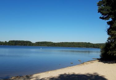 Trail Walking Moux-en-Morvan - Lac des Settons - Photo