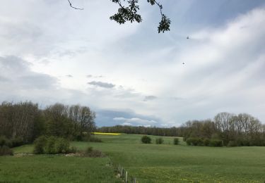 Trail Walking Modave - Linchet-Modave-Linchet - Photo