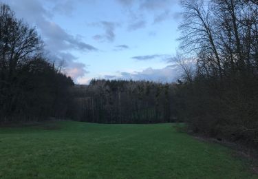 Trail Walking Huy - Saint Léonard  - Photo