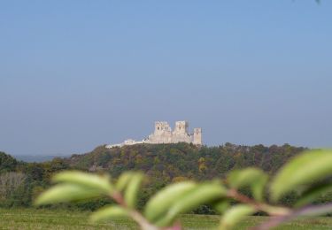 Tour Zu Fuß Zeßnegg - P+ - Photo