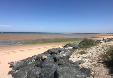 Trail Bicycle tourism Ars-en-Ré - 20220704 Île de Re depuis Logis hôtel  - Photo