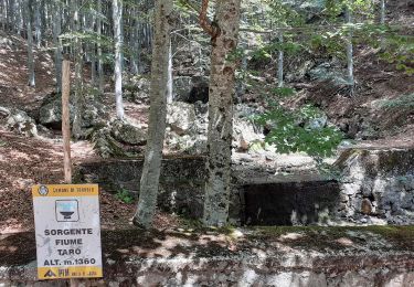 Percorso A piedi Tornolo - Squeri - Monte Carignone - Passo Dell'Incisa - Photo