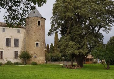 Tour Wandern Villalier - boucle Villalier La Mee les cabanes dans les bois - Photo