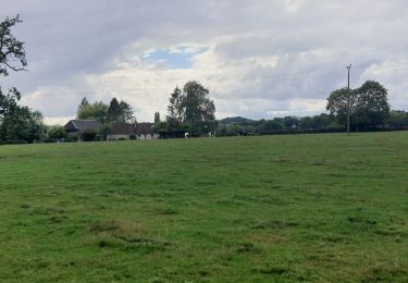 Tour Wandern Forges-les-Eaux - Forges - Serqueux par voie verte puis campagne - Photo