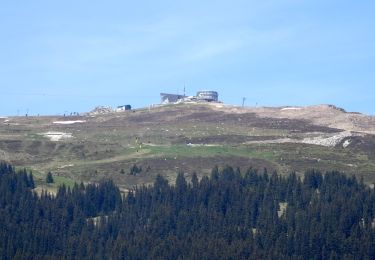 Tour Zu Fuß Ilanz/Glion - Siat - Ruschein - Ladir - Photo